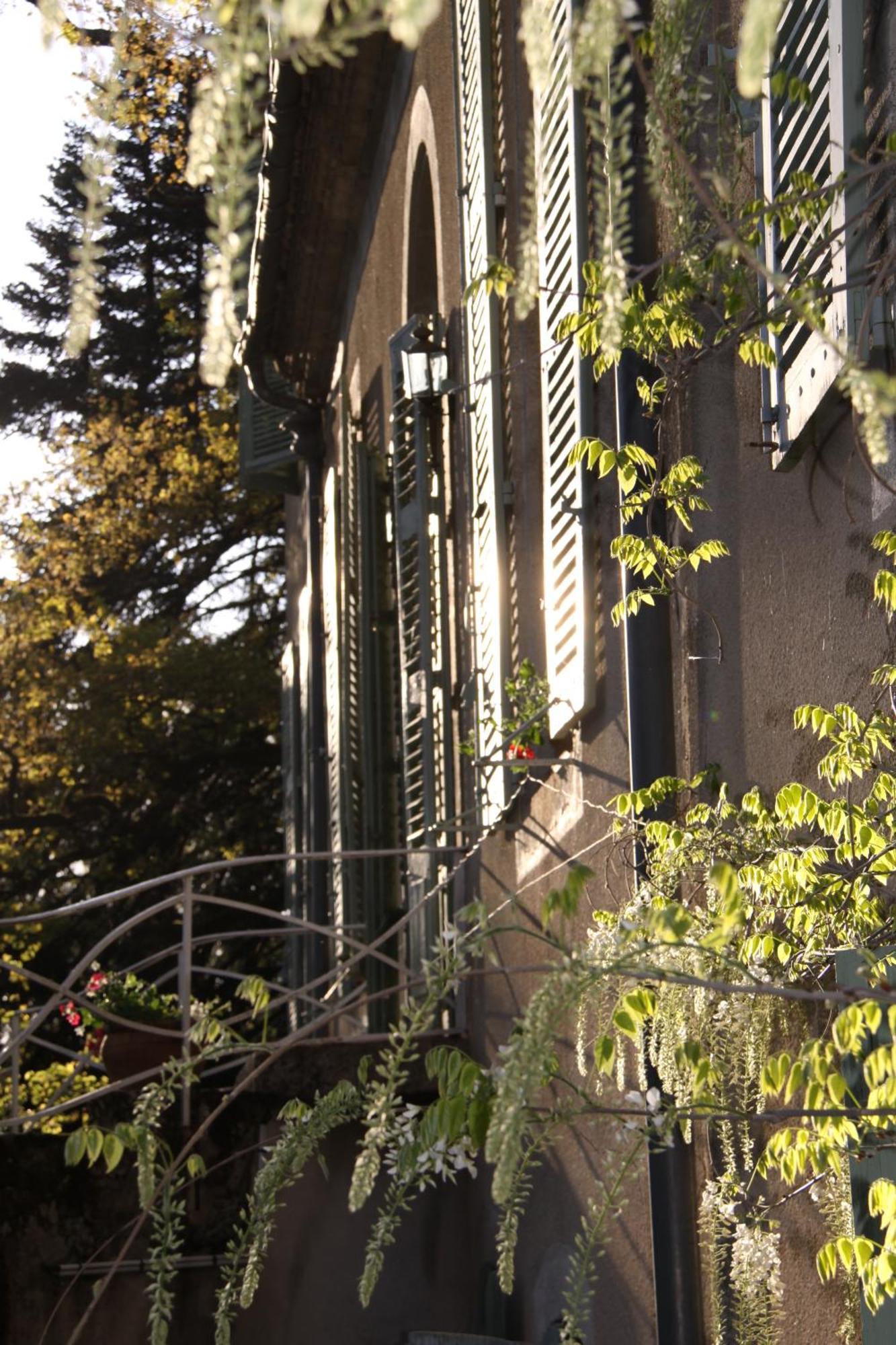 Bed and Breakfast Domaine Le Castelet Castres  Exteriér fotografie